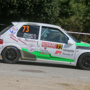 21° RALLY CITTA' DI SCORZE' - Gallery 19